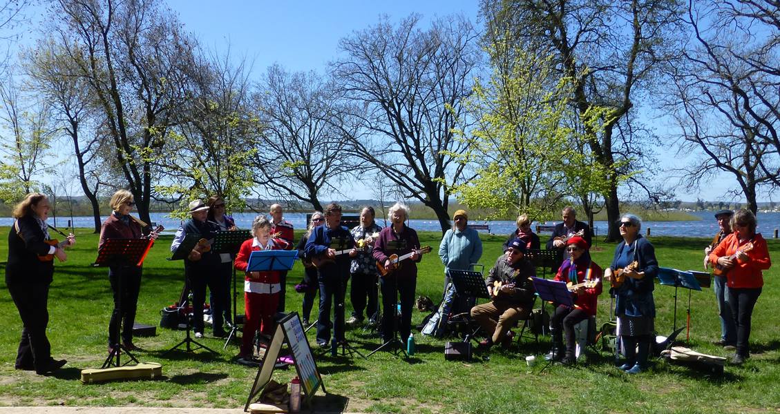 2016 10 08 BUG at the market