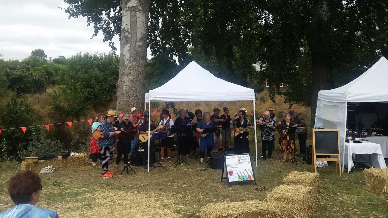 BUG photo 2 Feb 11 2018 Clunes Market