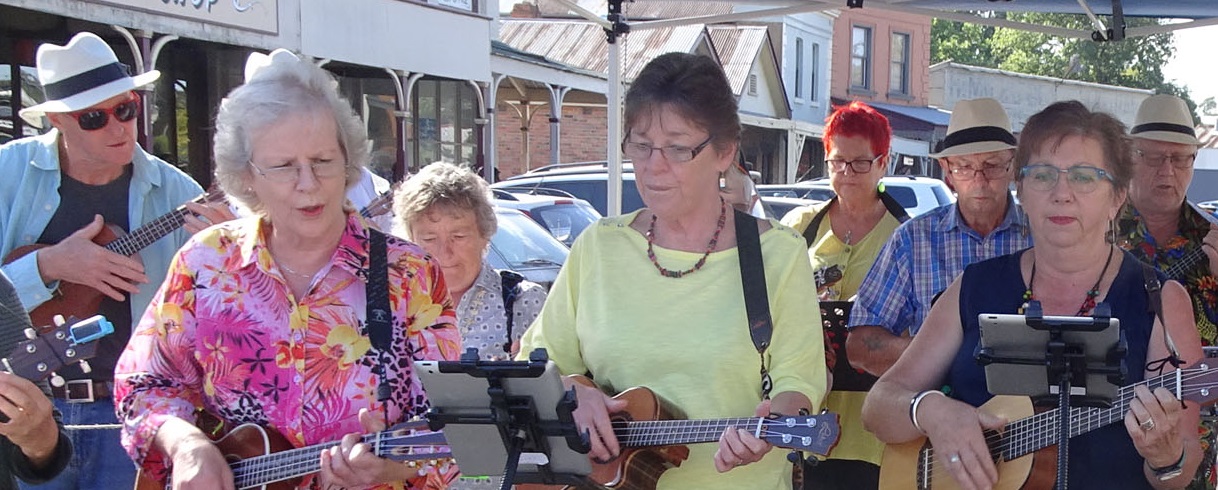 2017 03 12 some bug at Clunes2